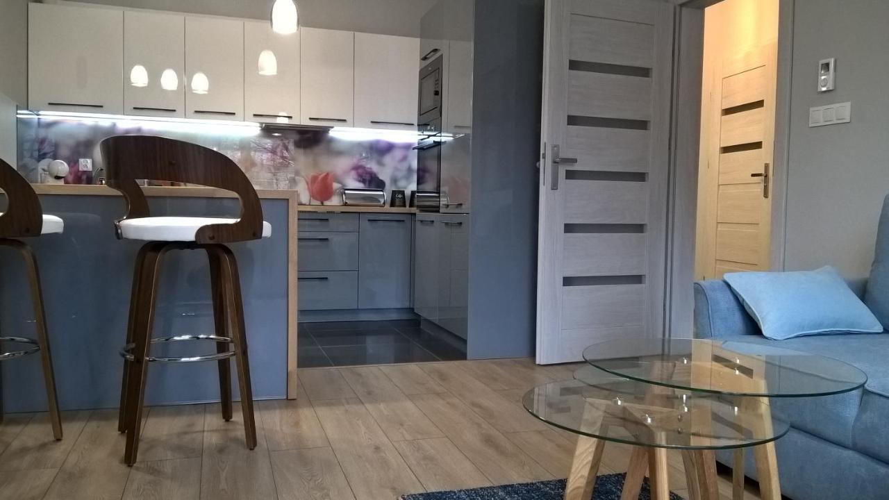 شقة Apartament Skandynawski Premium شتشيتسين المظهر الخارجي الصورة